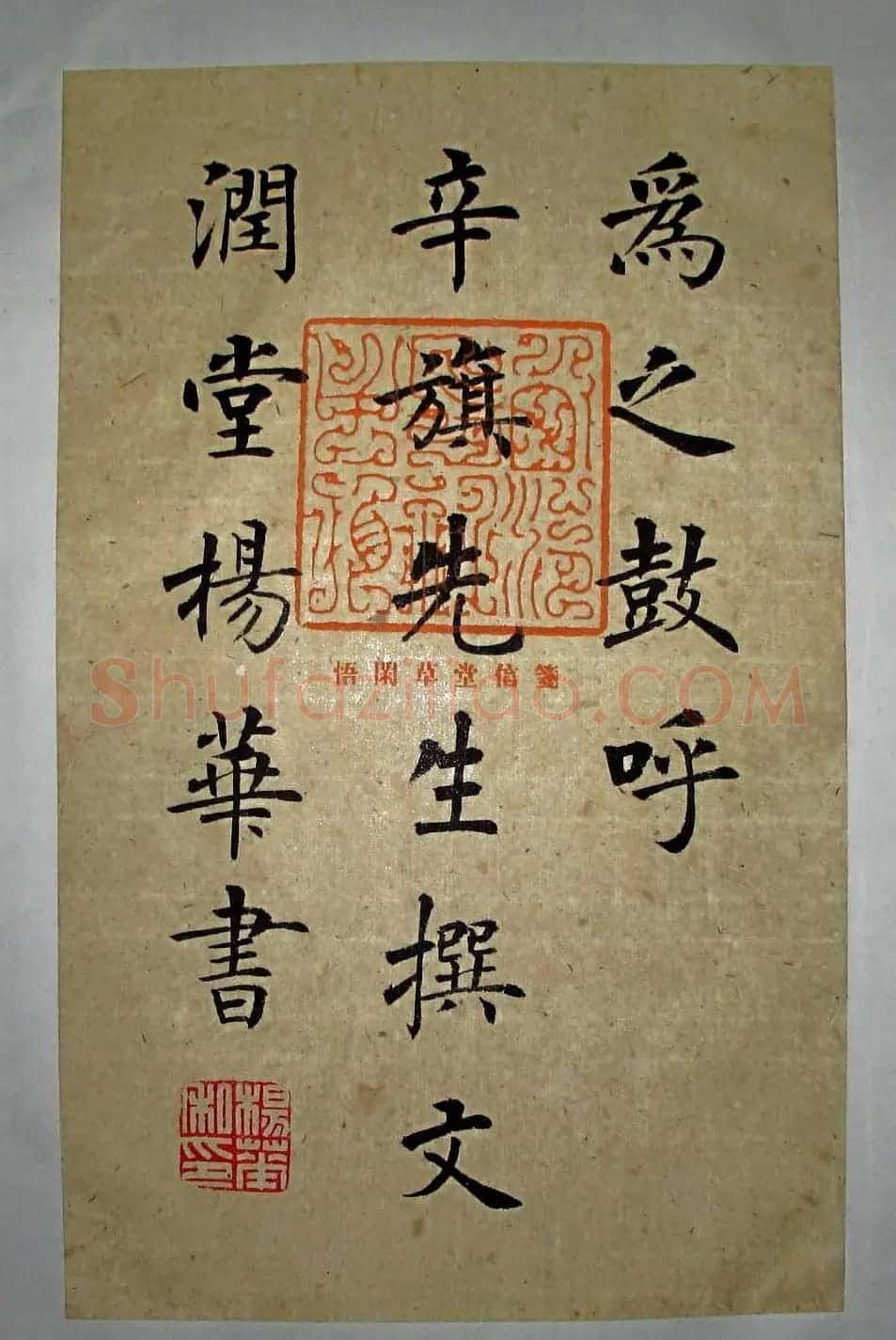杨华书法楷书册页《松赋》 | 书法名家作品鉴赏