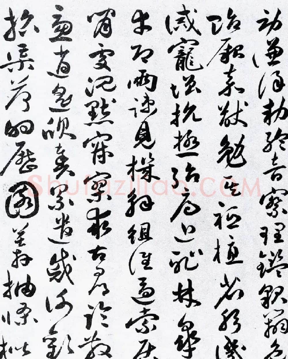 明代草书第一人祝允明《草书千字文卷》两种 | 书法长卷