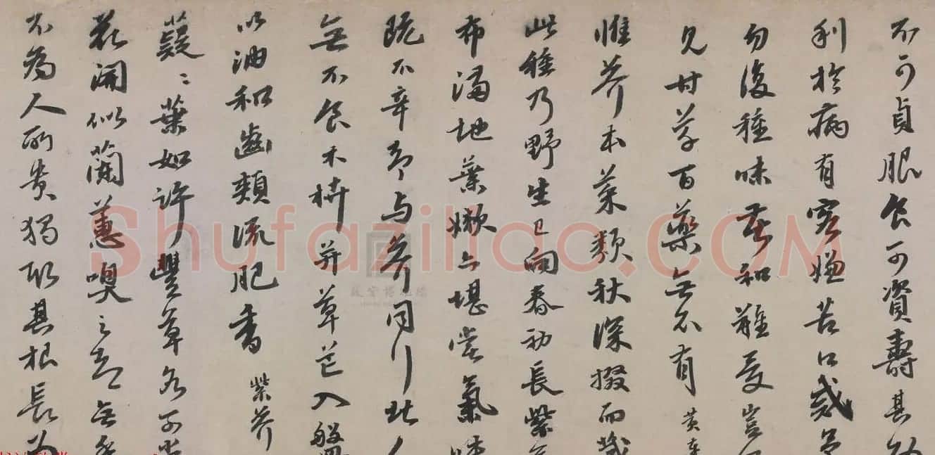 明代吴宽书法长卷赏析《记园中草木诗卷》 | 书法长卷