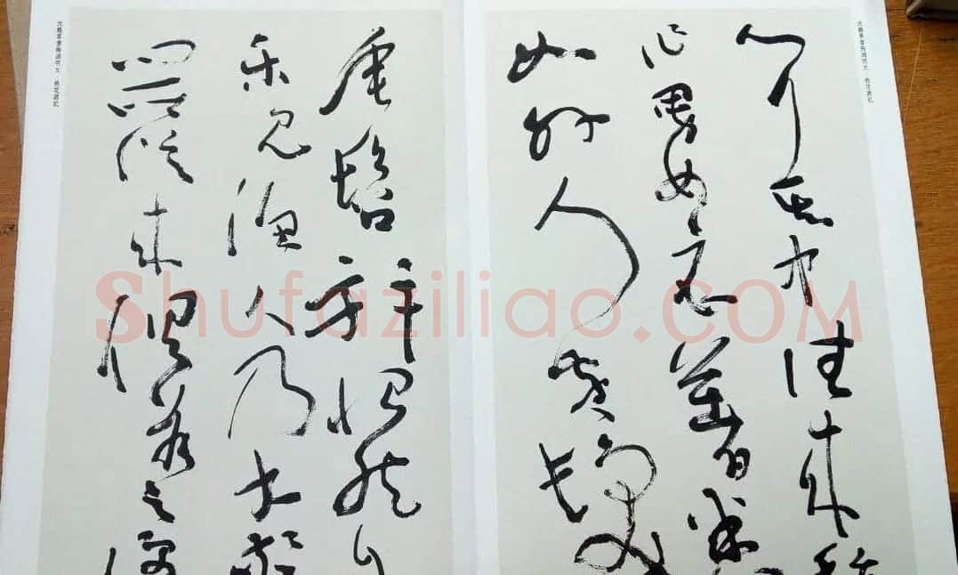 沈鹏草书欣赏《桃花源记》 | 书法作品赏析