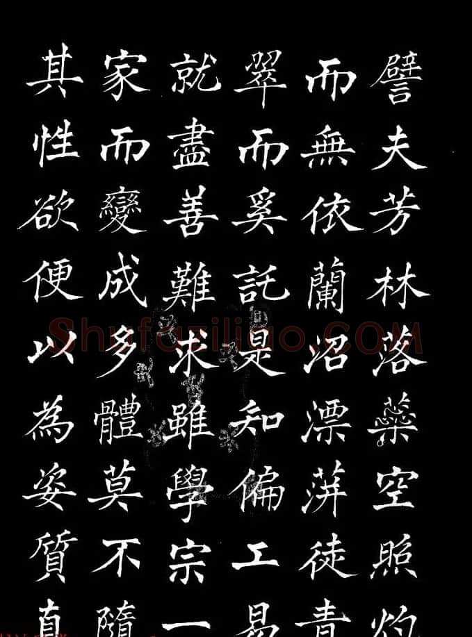 姜东舒中楷字帖欣赏《书谱》 | 毛笔楷书字帖