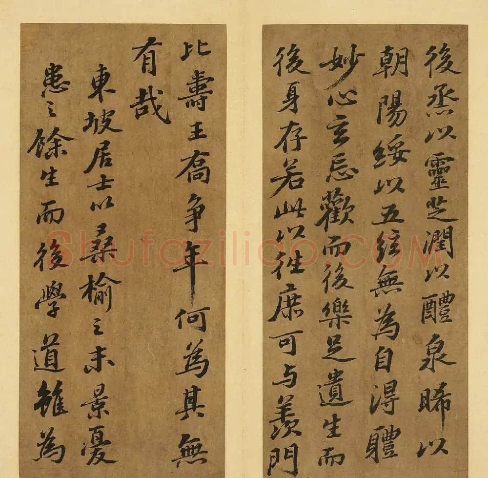 苏轼行书养生论真迹册 | 软笔书法作品