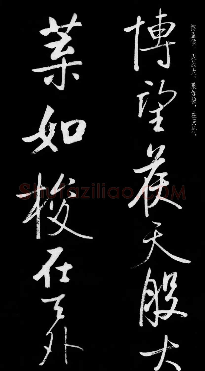 启功行书字帖临八大山人《荷上花歌帖》 | 软笔行书字帖
