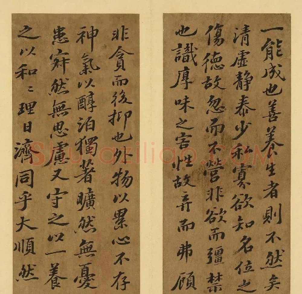 苏轼行书养生论真迹册 | 软笔书法作品