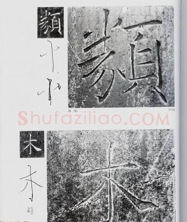 荒金大琳编著《褚遂良雁塔圣教序扩大观察记录》 | 毛笔楷书字帖