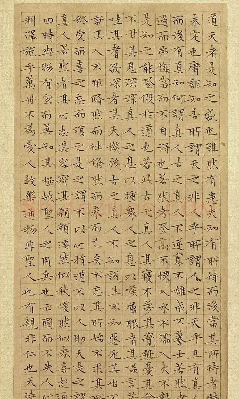 文徵明63岁小楷《庄子》册 | 书法名家作品欣赏