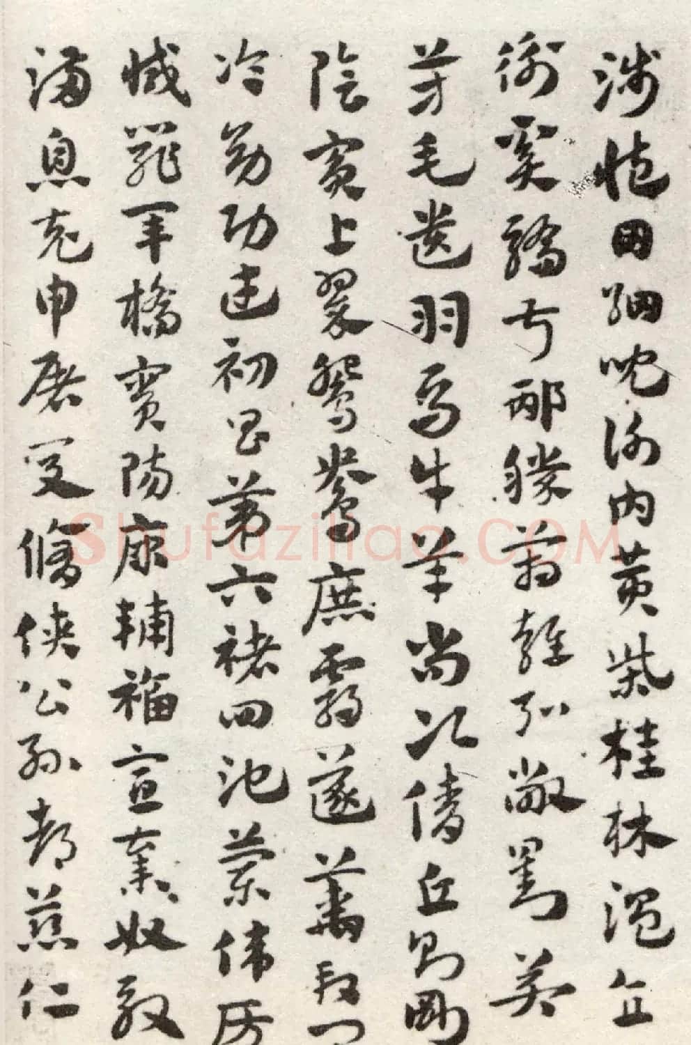 赵孟頫56岁章草《急就章》上海博物馆藏 | 书法名家作品鉴赏