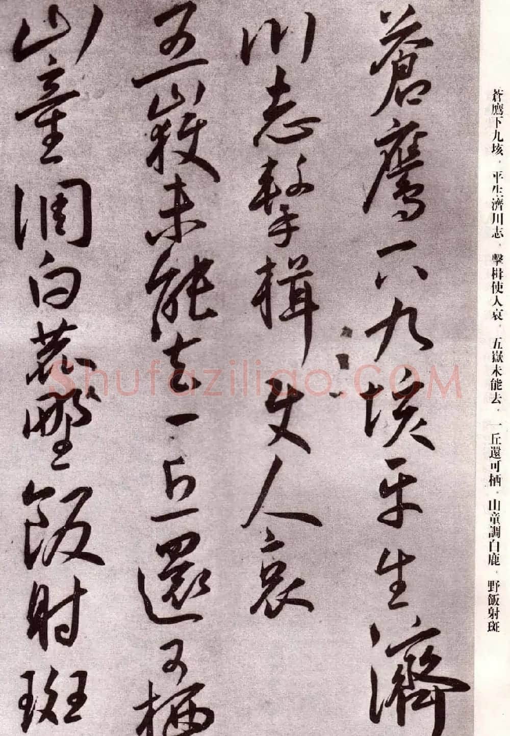 明代书法家王宠行草自书杂诗 | 名家书法作品精选
