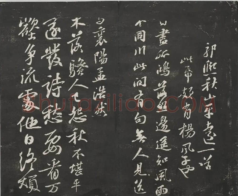 宋代苏轼法帖《观海堂苏帖》册 | 软笔书法作品