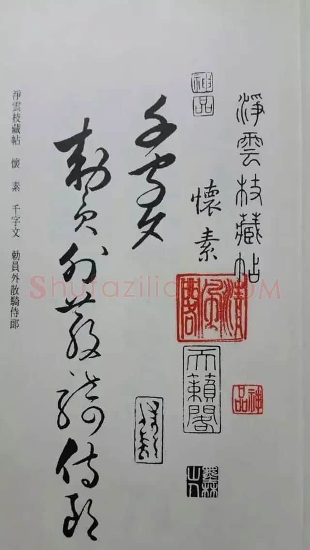 罕见的怀素草书《千字文》净云枝藏帖 | 软笔草书字帖
