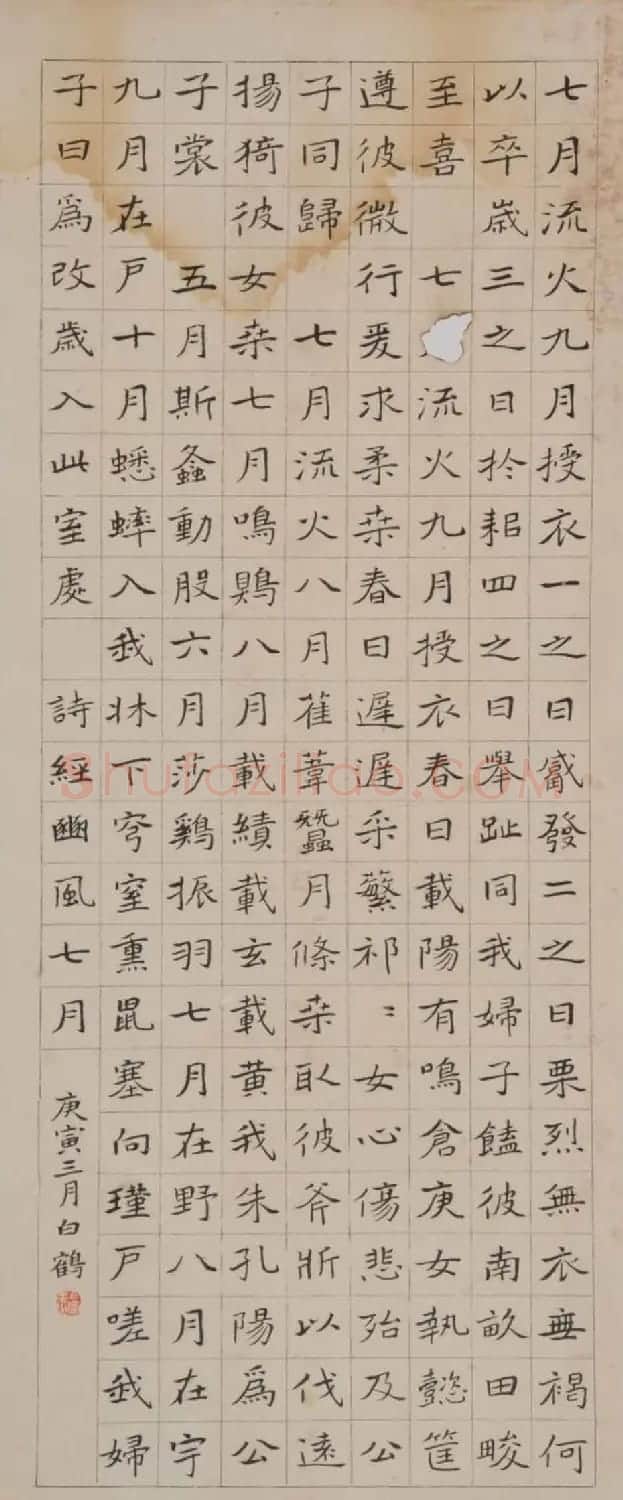 青年艺术家白鹤书法作品欣赏 | 书法作品鉴赏
