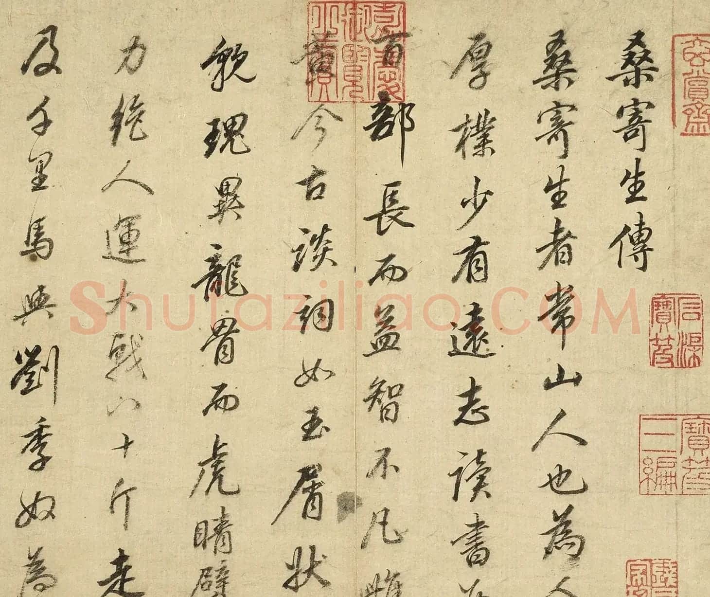 董其昌行书《桑寄生传》册 | 毛笔书法作品