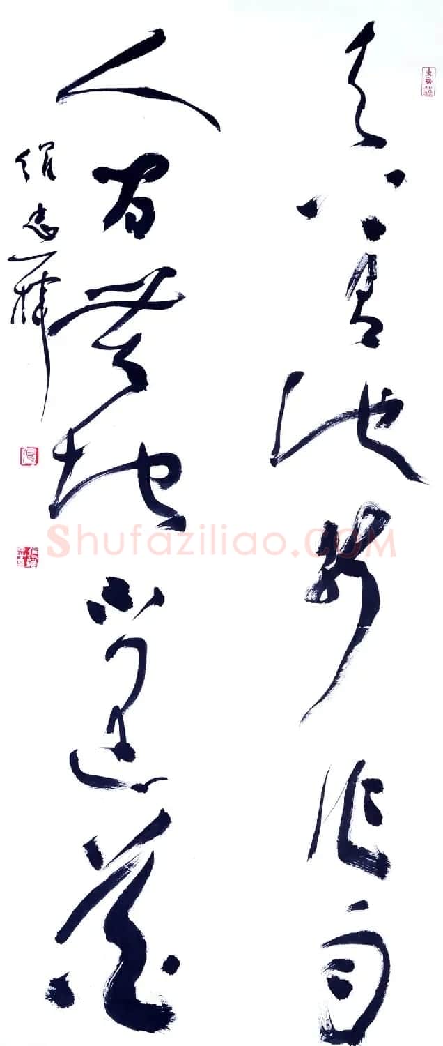 空军上校张维忠书法作品欣赏 | 书法作品精选