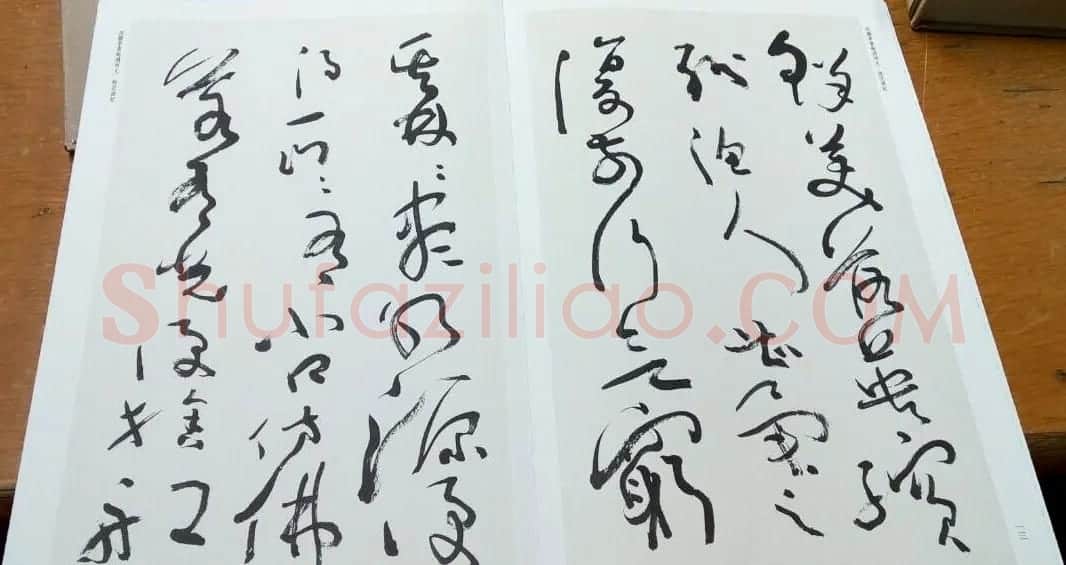 沈鹏草书欣赏《桃花源记》 | 书法作品赏析