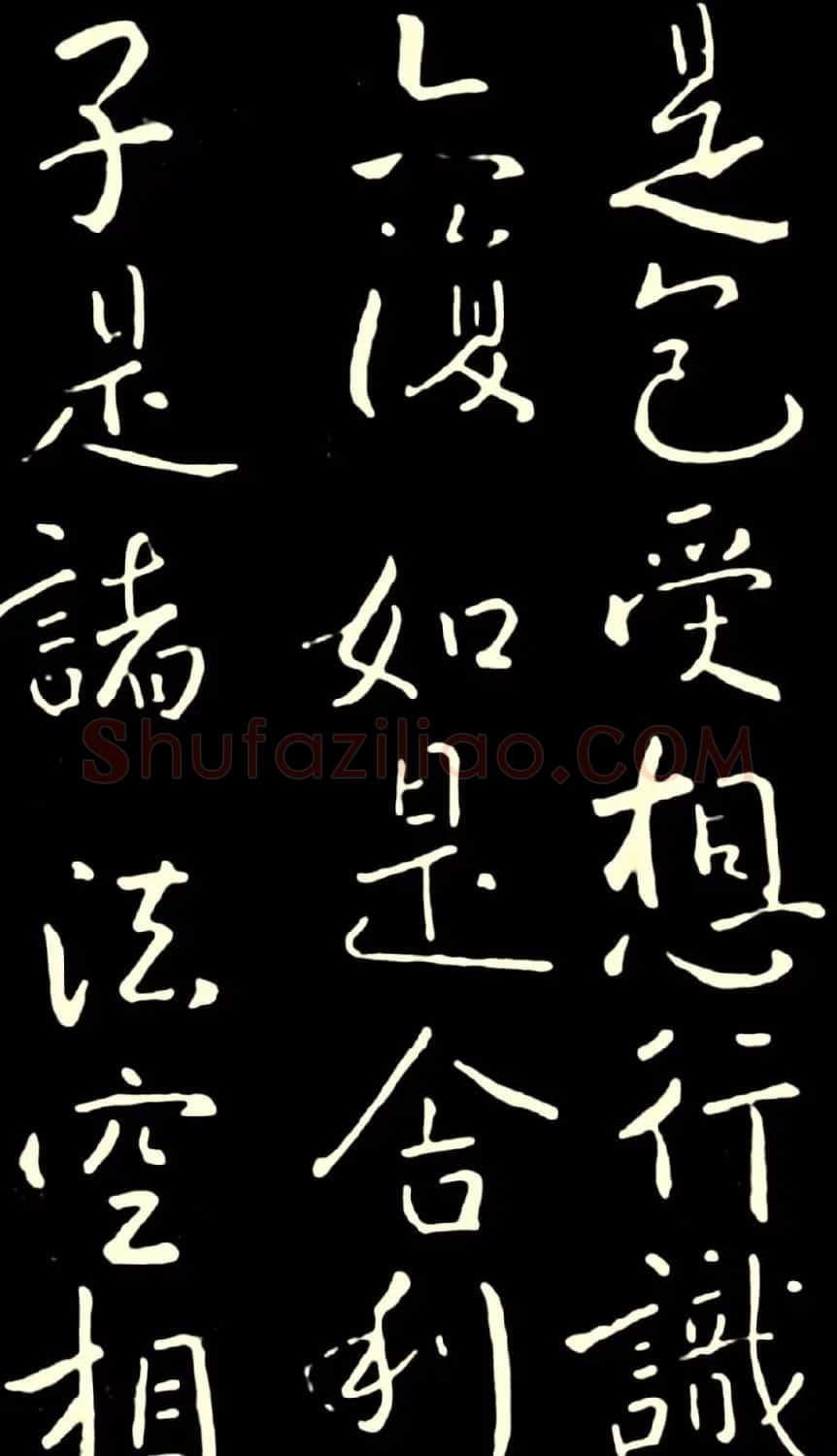 池无名书法《大雅行书般若心经》 | 书法心经全文