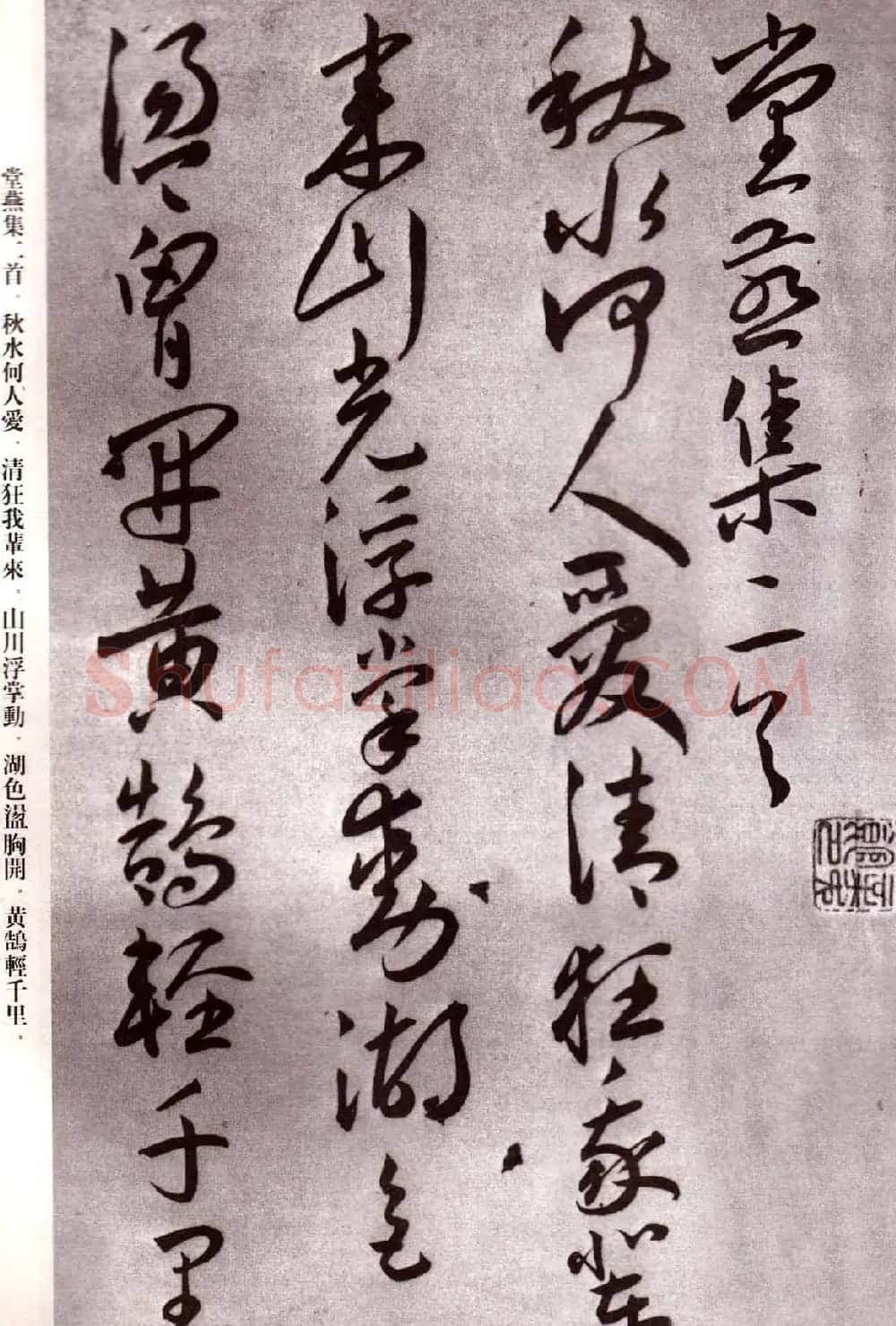 明代书法家王宠行草自书杂诗 | 名家书法作品精选