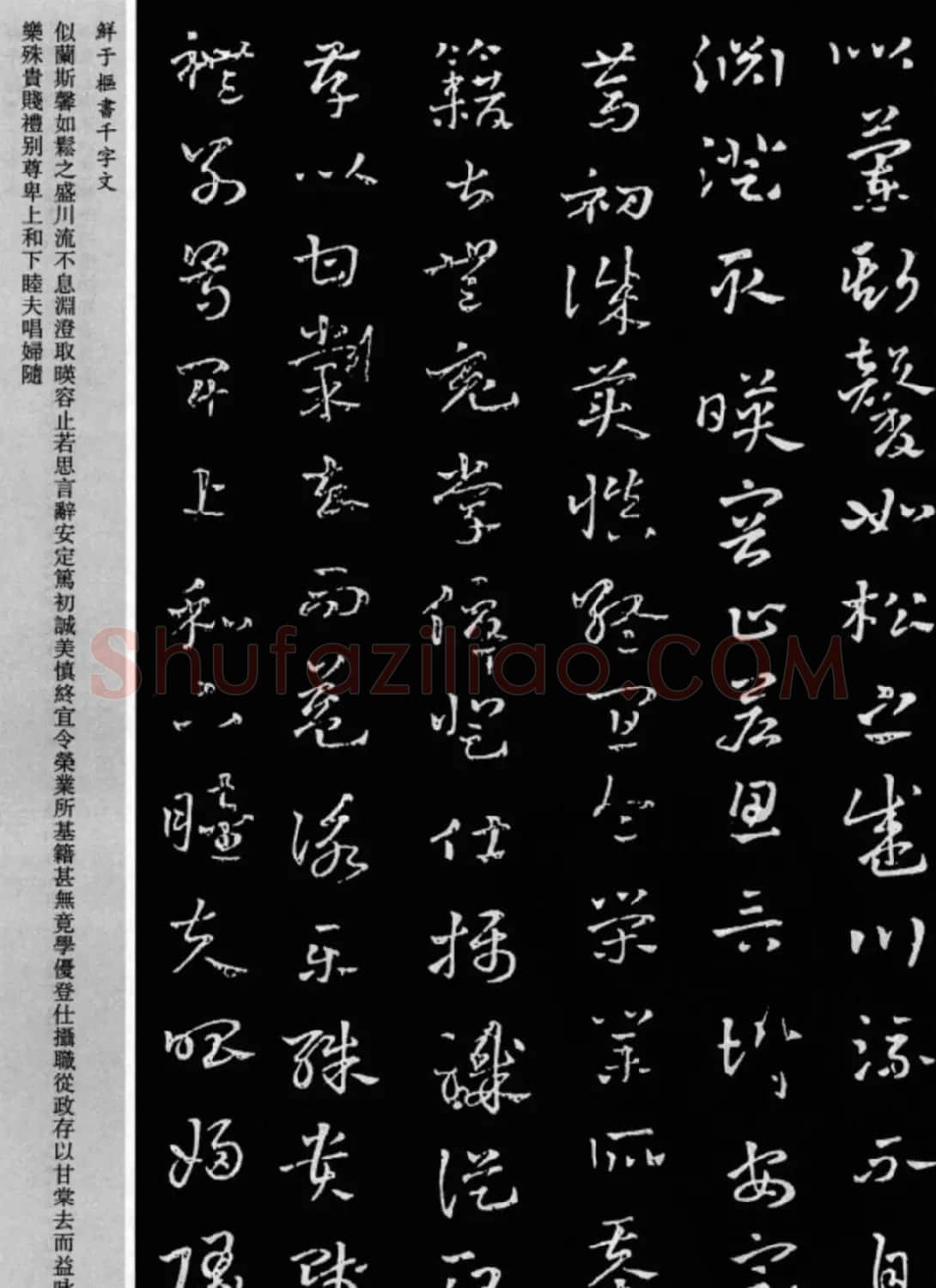 鲜于枢章草书法欣赏《千字文》大图 | 软笔草书字帖