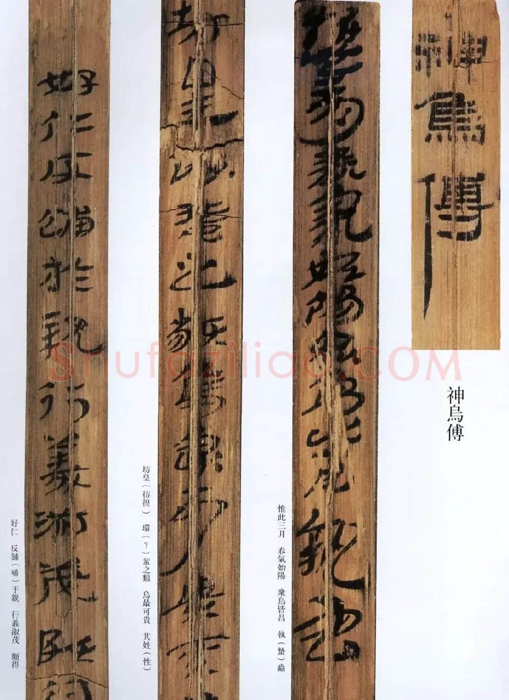 西汉草隶书法竹简《神乌傅》高清本 | 书法作品鉴赏