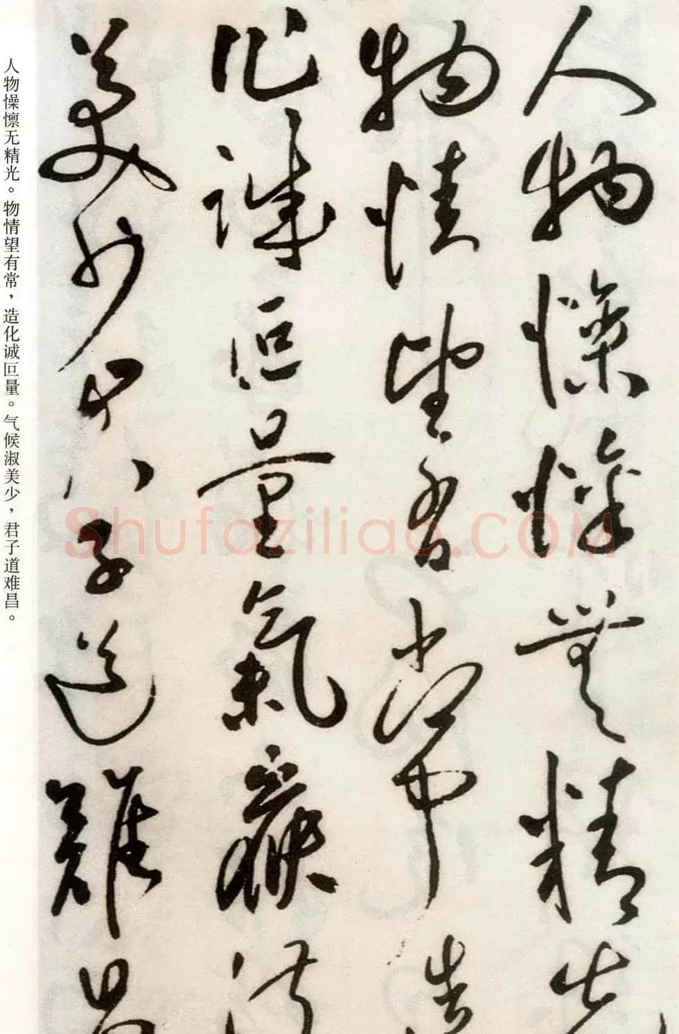 祝允明草书欣赏《自书诗卷五章》 | 书法长卷