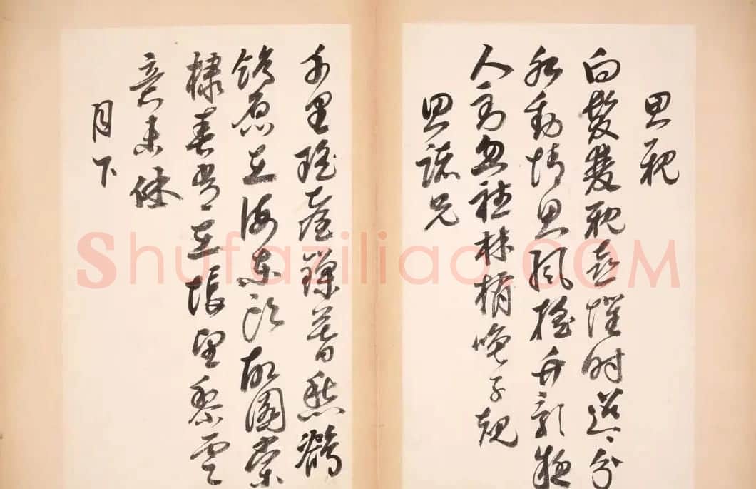 明代女书画家邢慈静草书欣赏 | 名家书法作品赏析