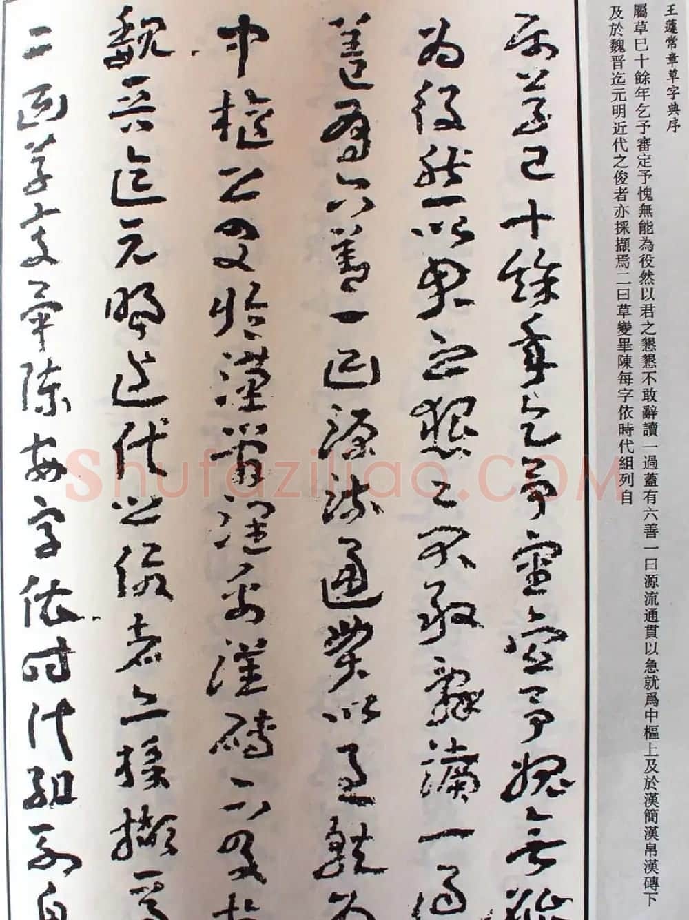 王蘧常草书欣赏《章草字典序》 | 软笔书法作品