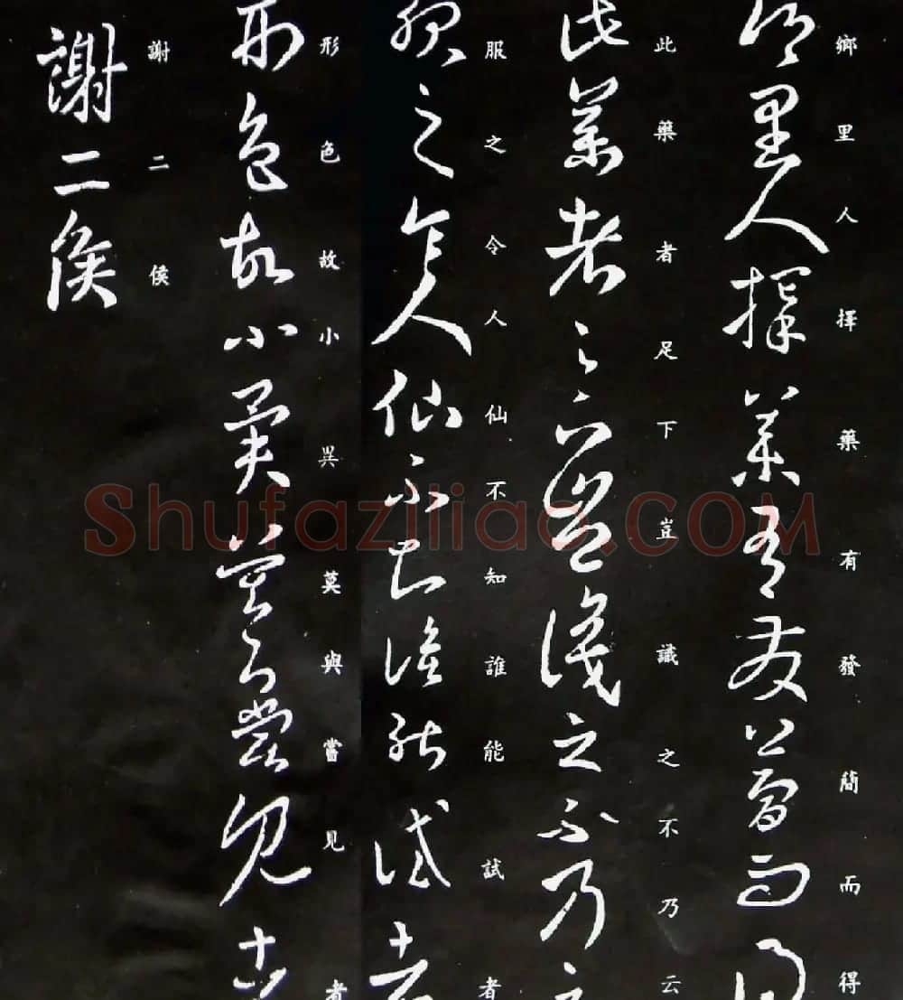 王羲之草书欣赏《择药帖》 | 名家书法作品赏析