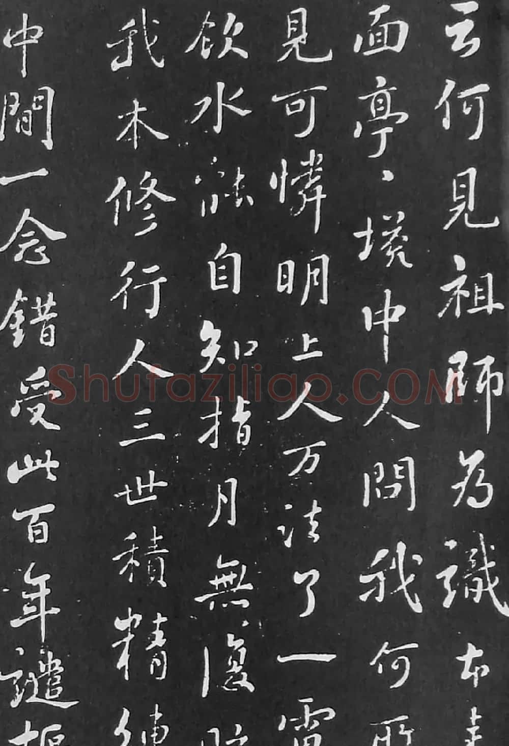苏轼书法《李世南所画秋景二首》 | 软笔书法作品