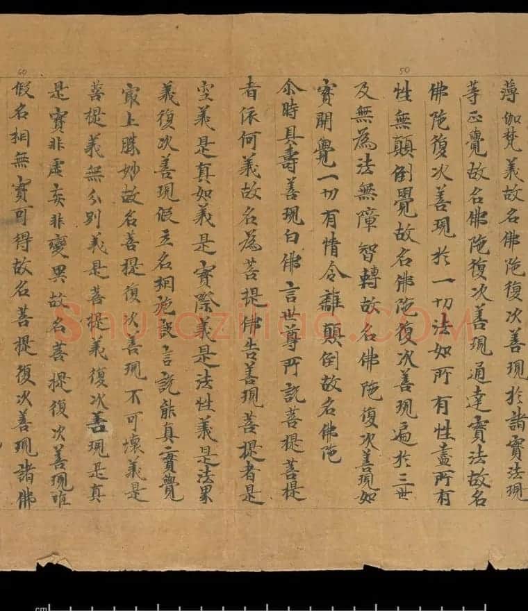 大般若波罗蜜多经卷第四百六十四 俄罗斯藏本 | 敦煌写经欣赏