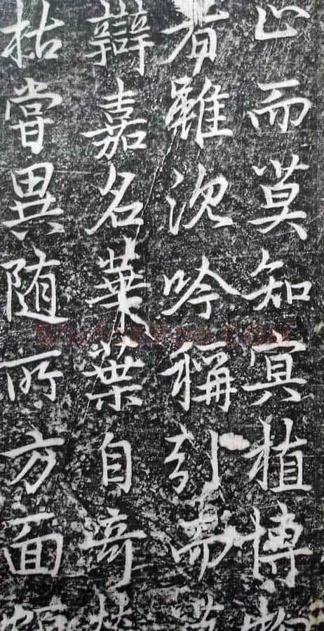 李北海李邕行书欣赏《娑罗树碑记》 | 书法碑帖