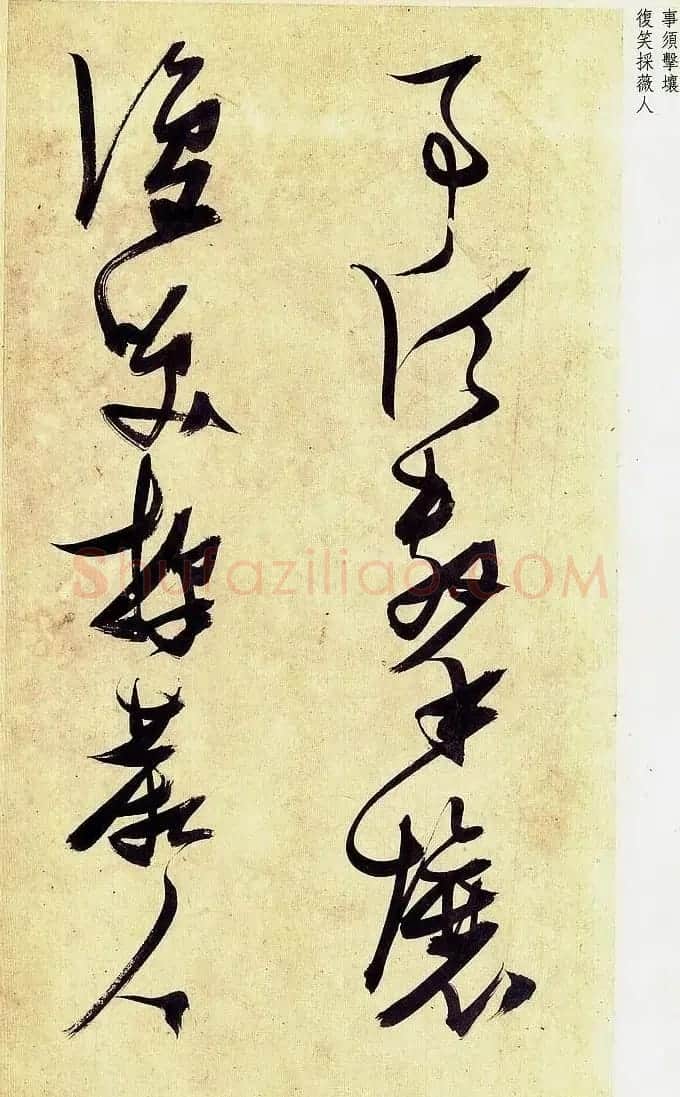 《明张瑞图草书偶然作》册页欣赏 | 毛笔草书字帖