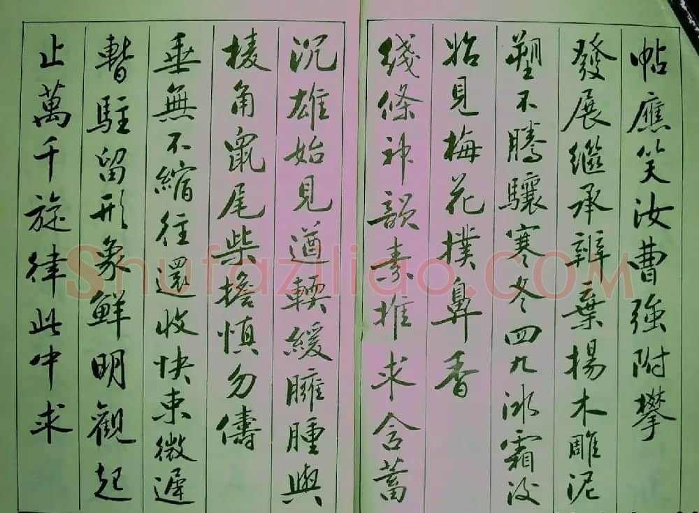 青少年行书范本《廖蕴玉著并书.论书七绝句一百首》 | 软笔行书字帖