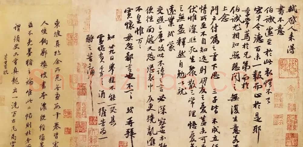 苏轼行书作品欣赏《人来得书帖》 | 软笔书法作品