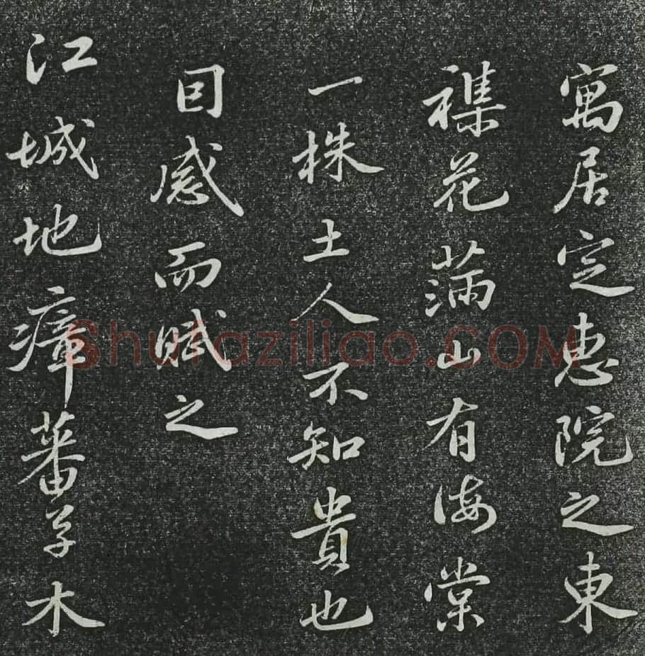 苏轼行书《定恵院海棠诗》（日本藏） | 毛笔书法作品
