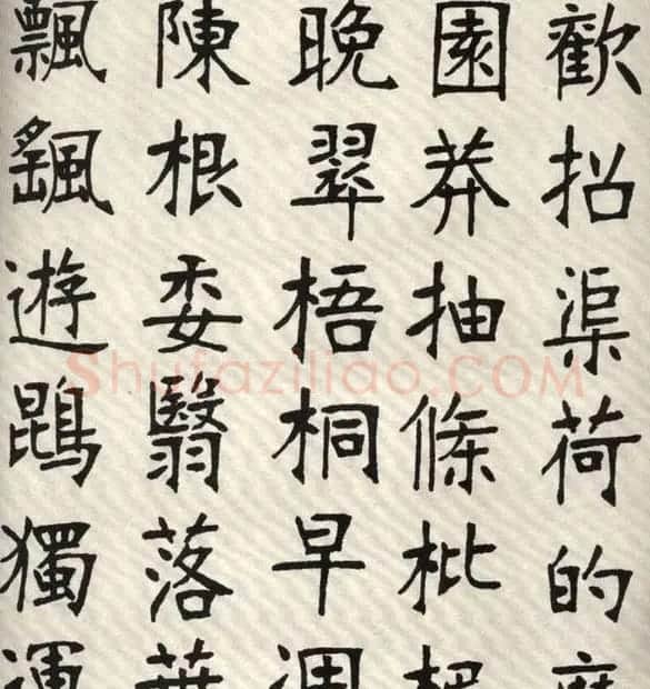 张裕钊楷书字帖欣赏《千字文》 | 软笔楷书字帖