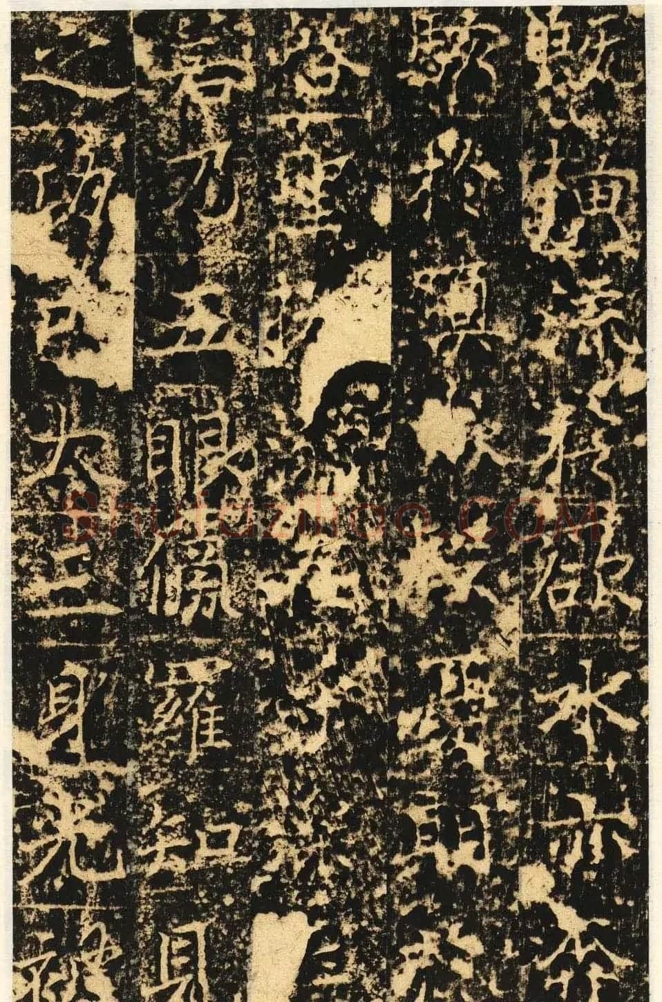 唐代楷书石刻《信法寺弥陀像碑》 | 书法碑帖