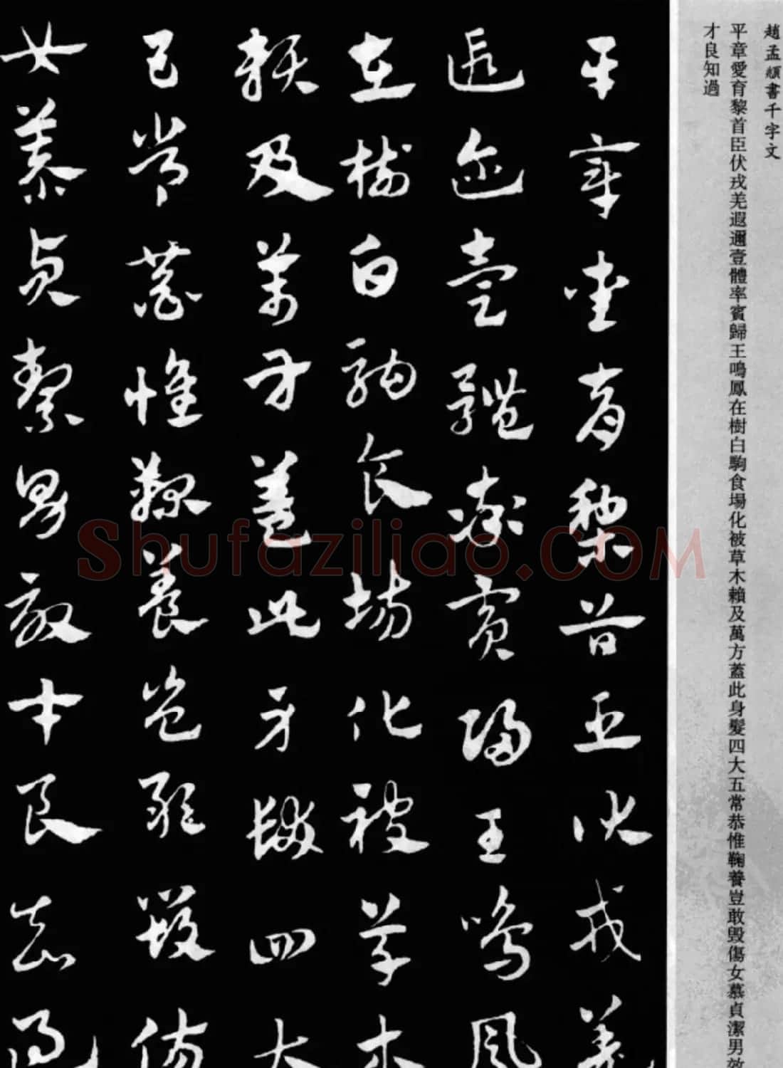 赵孟頫书法章草千字文(附释文)图片17P | 软笔草书字帖