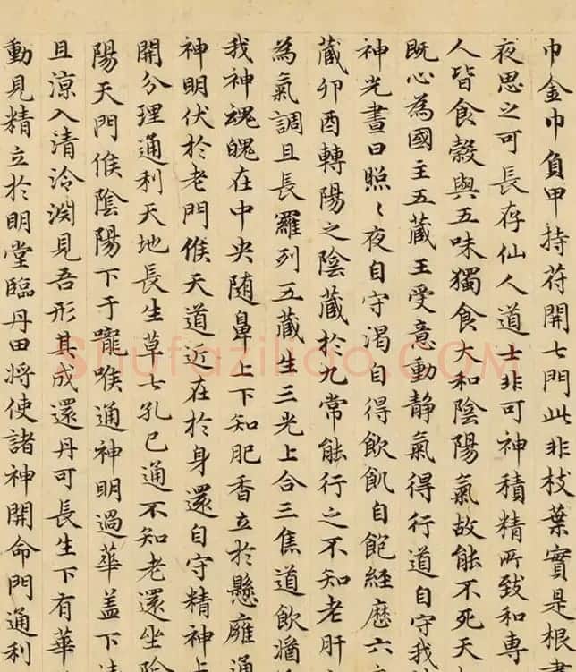赵孟頫49岁小楷《临黄庭经》卷 | 名家书法作品精选