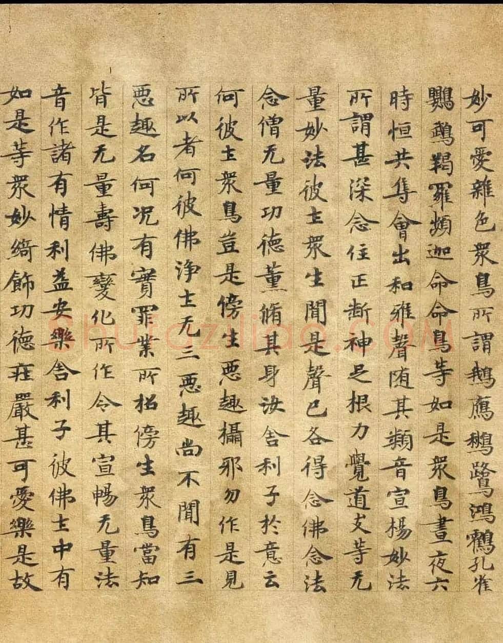 敦煌遗书《称赞净土佛摄受经》 | 敦煌写经精选