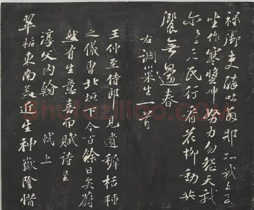 宋代苏轼法帖《观海堂苏帖》册 | 软笔书法作品