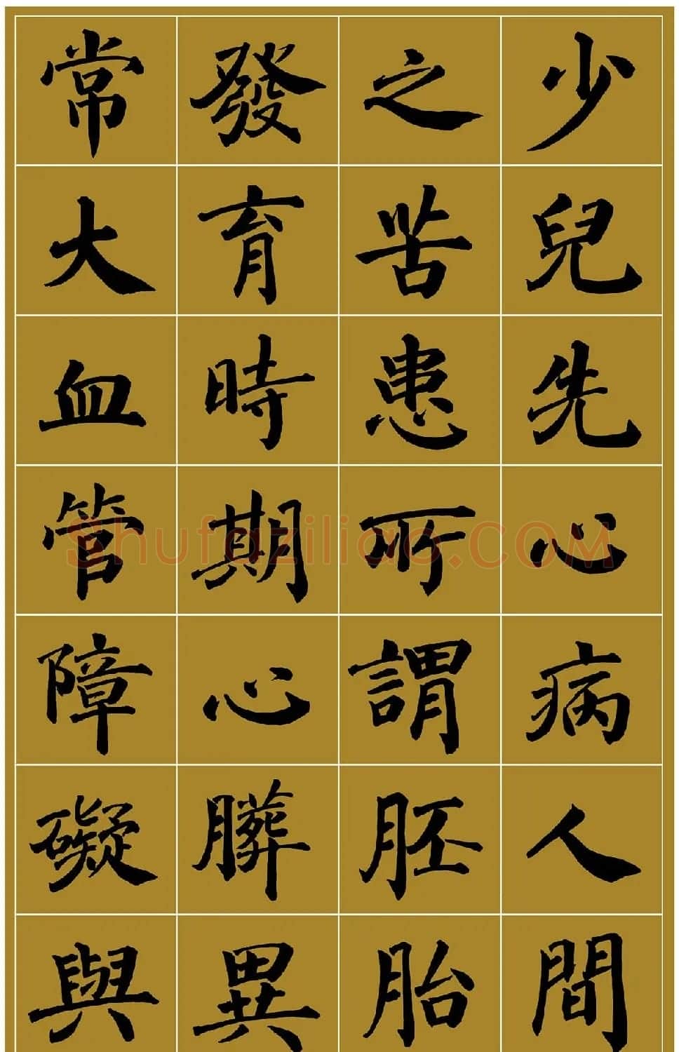 范笑歌楷书《中国少儿先心病基金宣讲辞》 | 书法作品赏析