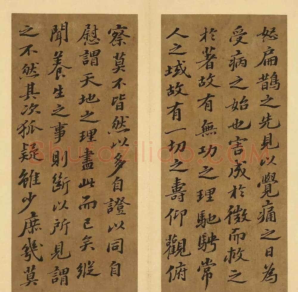 苏轼行书养生论真迹册 | 软笔书法作品
