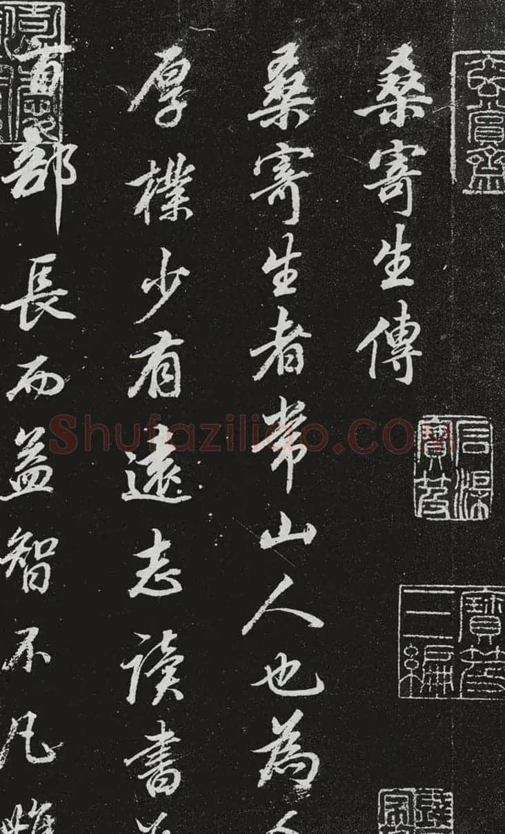 董其昌行书欣赏《桑寄生传》拓本 | 名家书法作品赏析