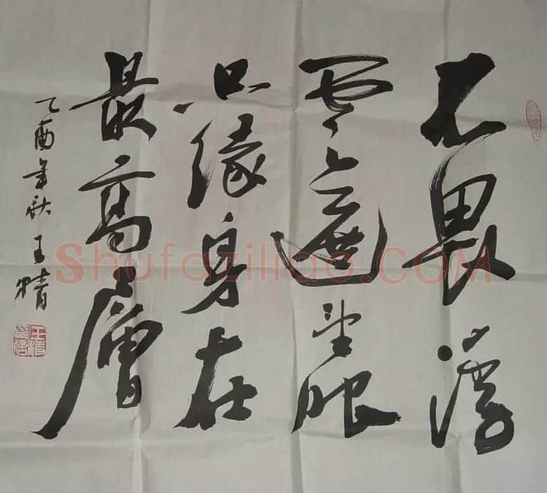 王精书法作品欣赏 | 书法作品欣赏