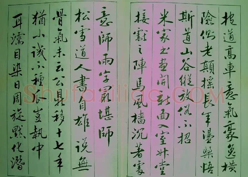 青少年行书范本《廖蕴玉著并书.论书七绝句一百首》 | 软笔行书字帖