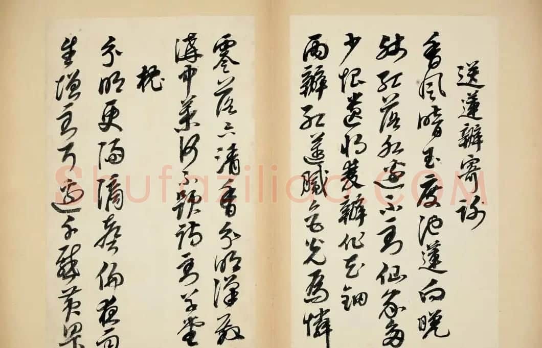 明代女书画家邢慈静草书欣赏 | 名家书法作品赏析