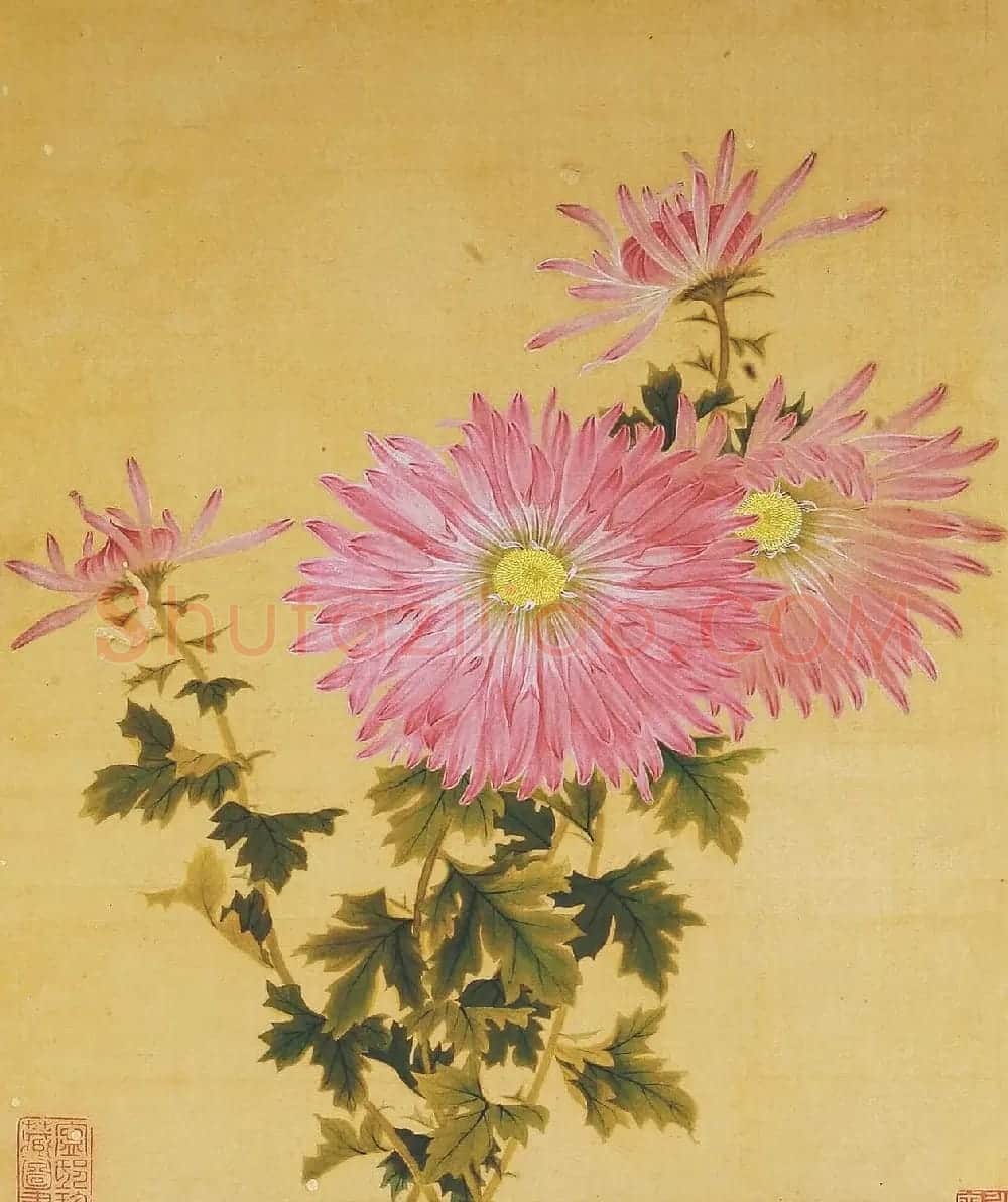 清代书法家湛畗书《菊谱》册页 | 传世书法作品精选