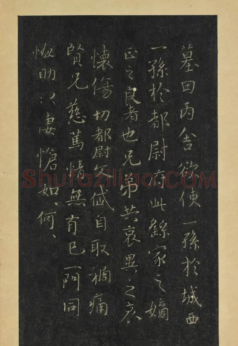 晋代王羲之草书长者帖册 | 名家书法作品赏析