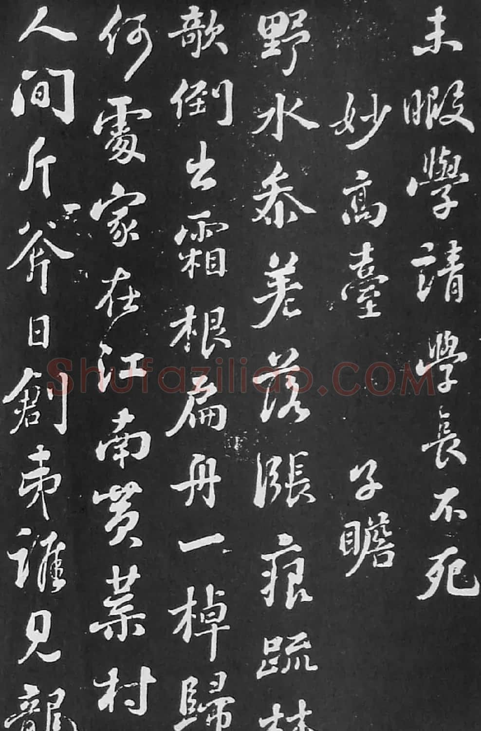 苏轼书法《李世南所画秋景二首》 | 软笔书法作品