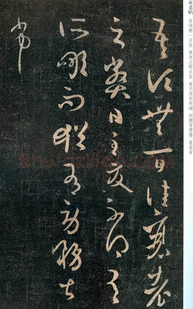 王羲之草书欣赏《衰老帖》 | 名家书法作品赏析