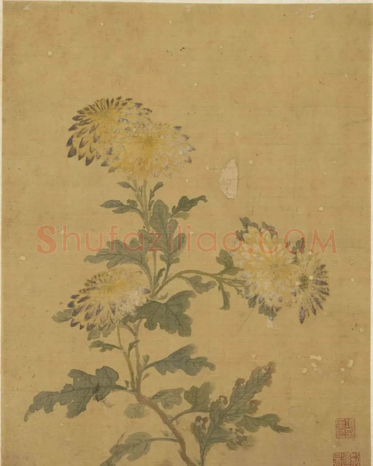 王文治书法题项圣谟花卉册 | 传世书法作品赏析